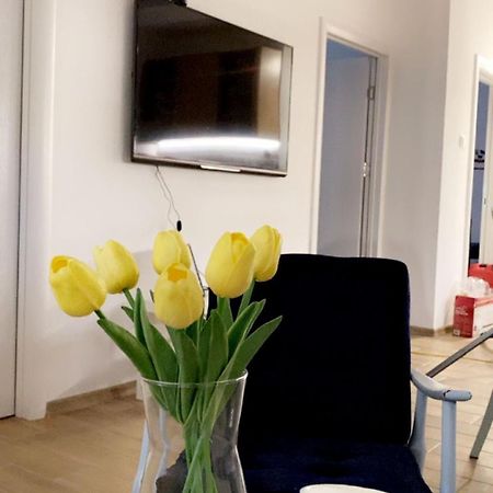 Vanja Apartman Vrsac Luaran gambar