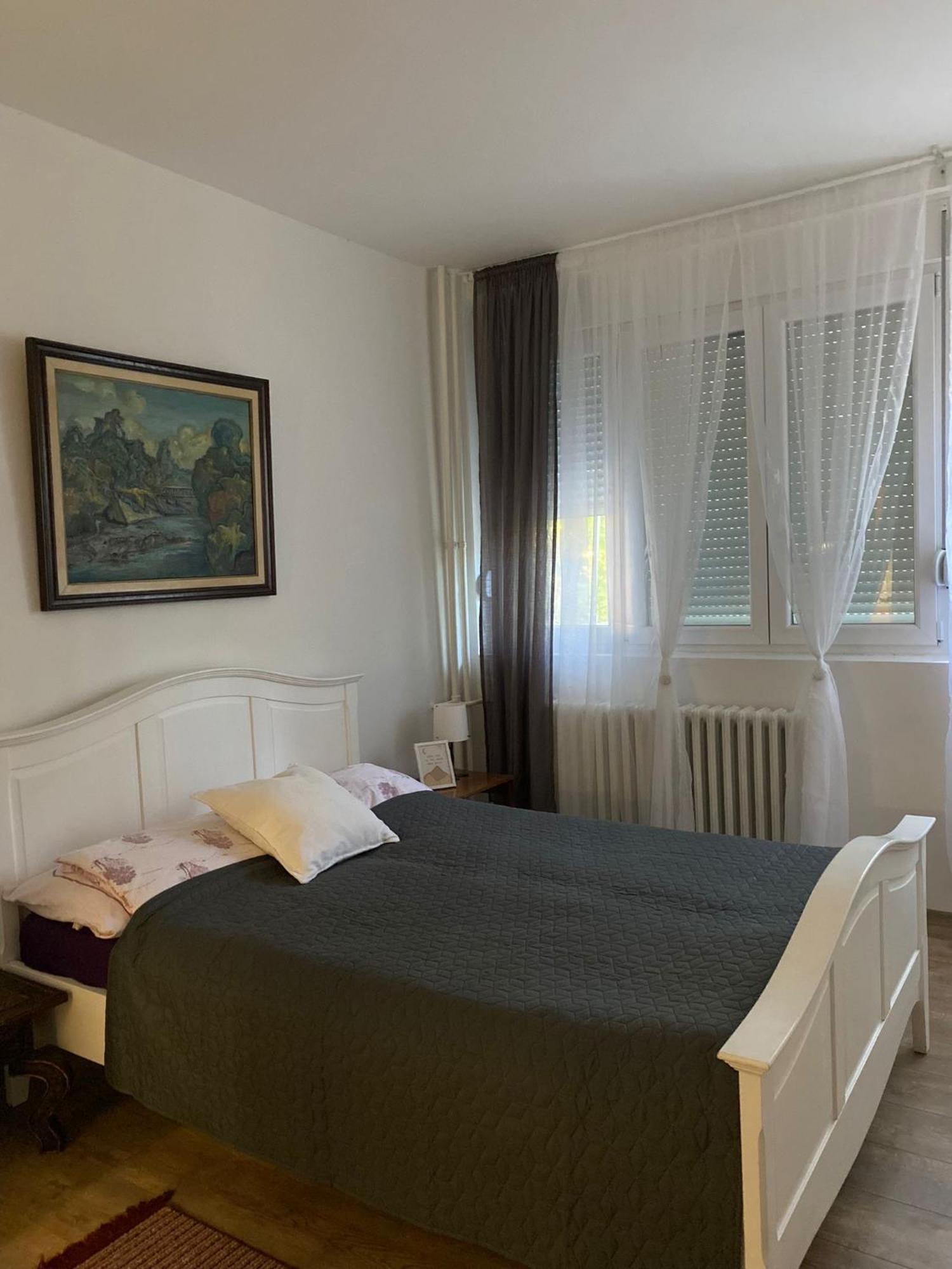 Vanja Apartman Vrsac Luaran gambar
