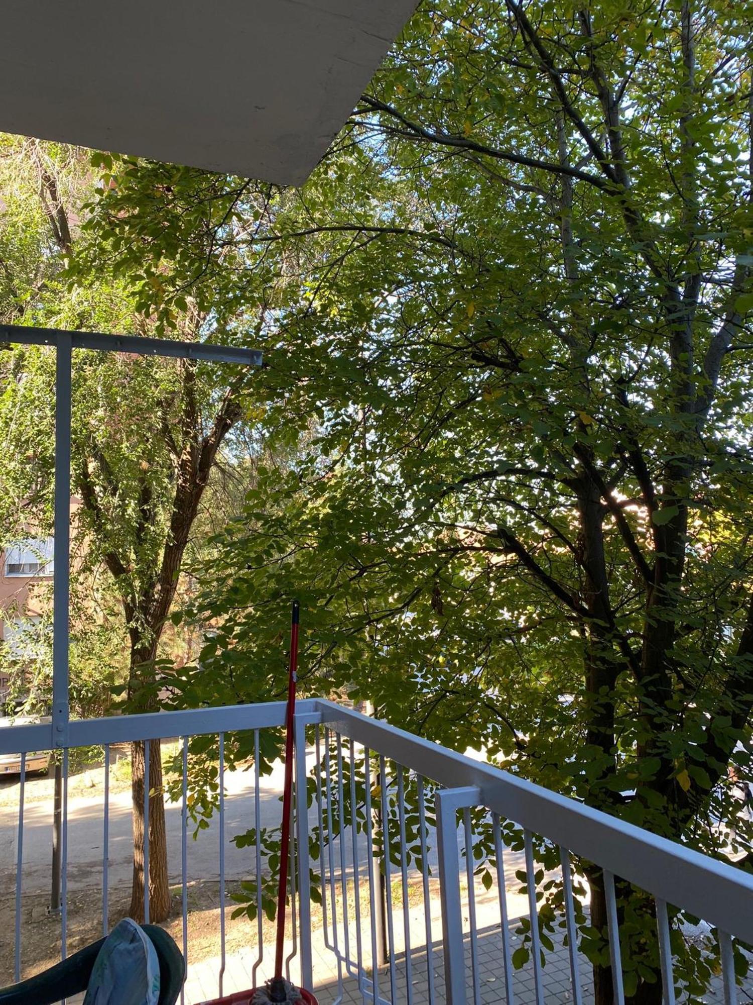 Vanja Apartman Vrsac Luaran gambar